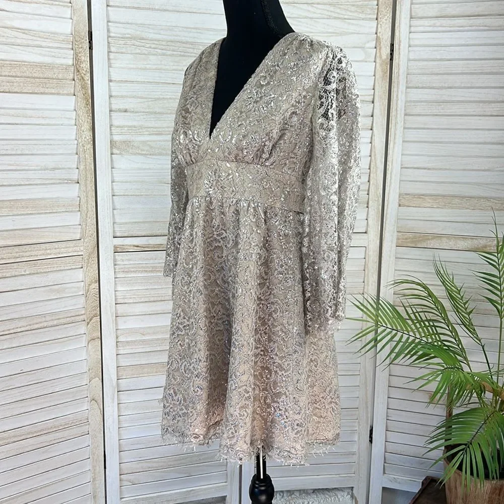 Corey Lynn Calter Anthropologie Metallic Lace Skater Mini Dress XS